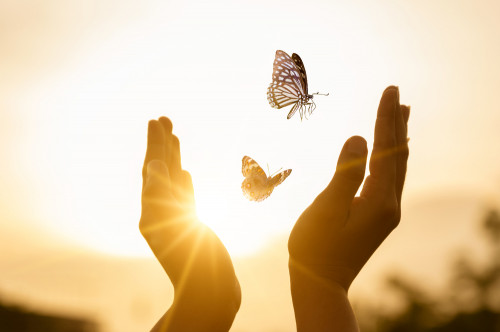 Channeling, eine energetische Botschaft: Foto: © sarayut sy / shutterstock / #1819721660